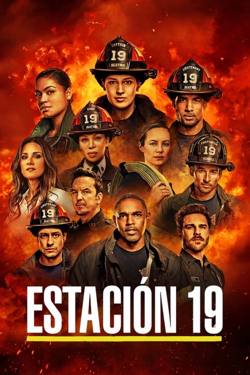 Cartel de Estación 19