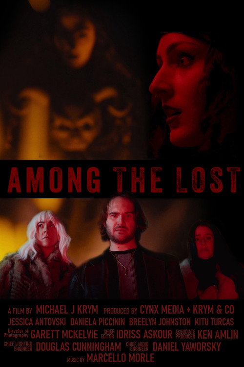 Cartel de Among the Lost