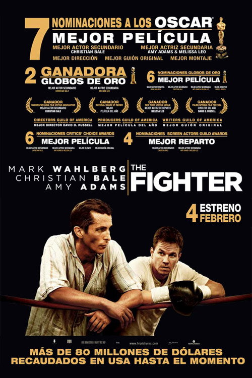 Cartel de The Fighter