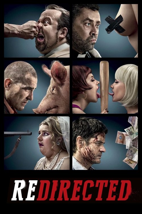 Cartel de Redirected