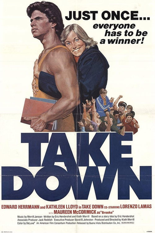 Cartel de Take Down