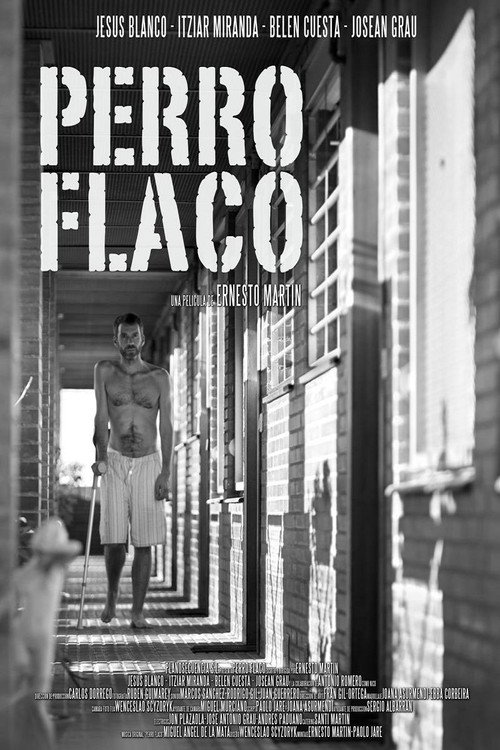 Cartel de Perro flaco