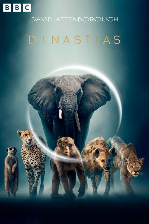 Cartel de Dinastías