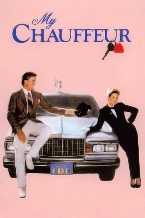 Cartel de Mi chófer