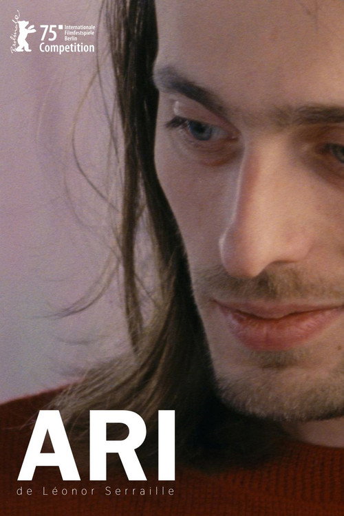 Cartel de Ari