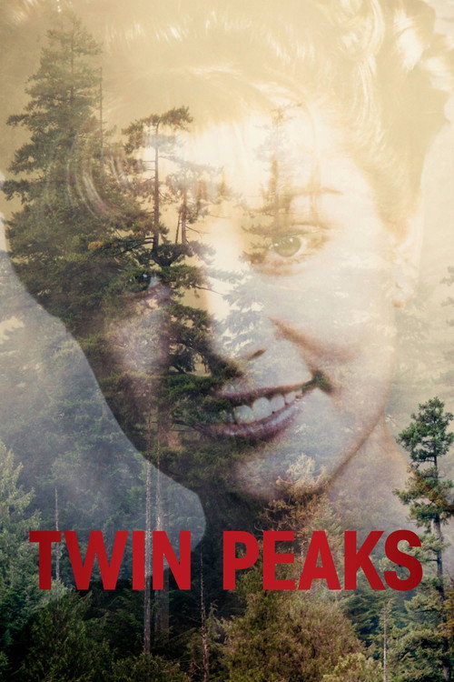 Cartel de Twin Peaks