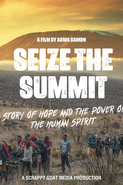 Cartel de Seize the Summit