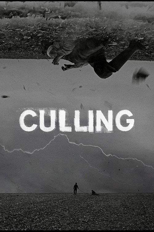 Cartel de Culling