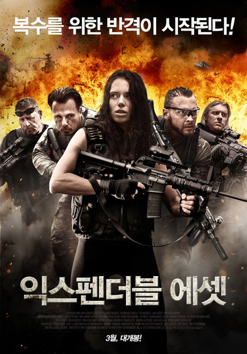 Cartel de Expendable Assets