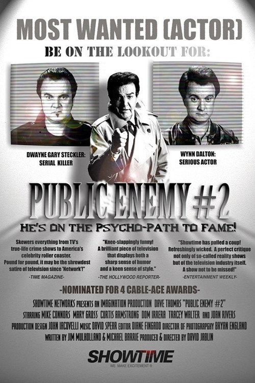 Cartel de Public Enemy #2