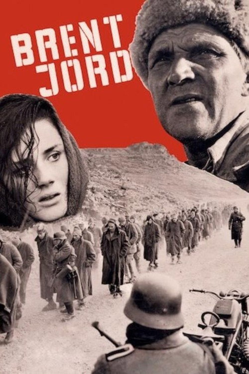 Cartel de Brent jord