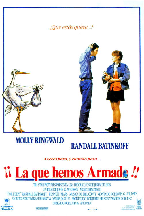 Cartel de La que hemos armado