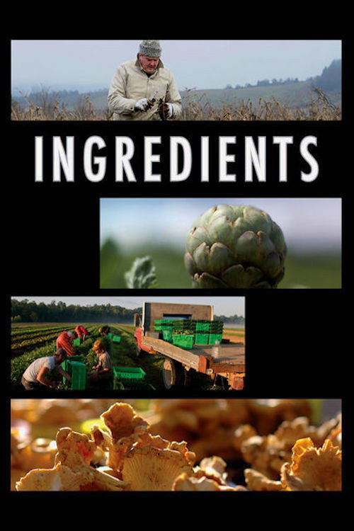 Cartel de Ingredients