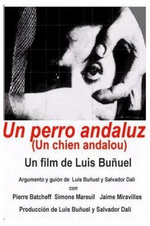 Cartel de Un perro andaluz
