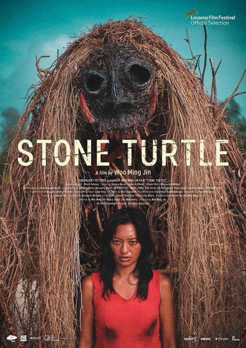 Cartel de Stone Turtle