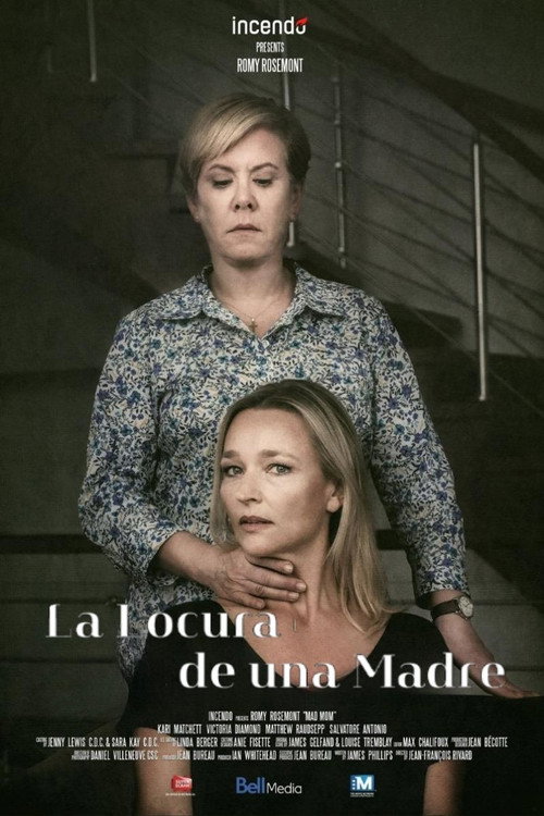 Cartel de La locura de una madre