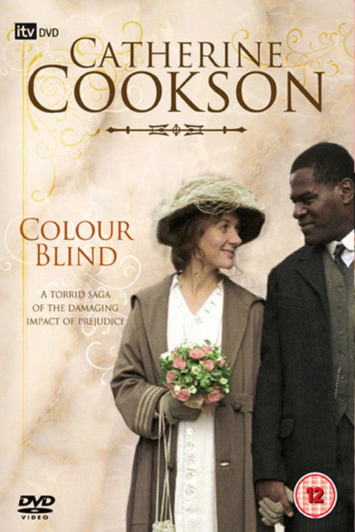 Cartel de Colour Blind
