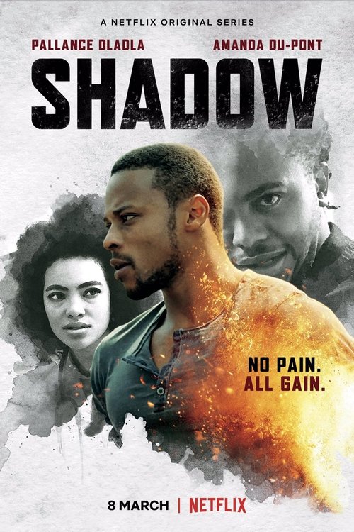 Cartel de Shadow