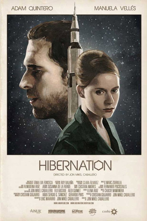 Cartel de Hibernation