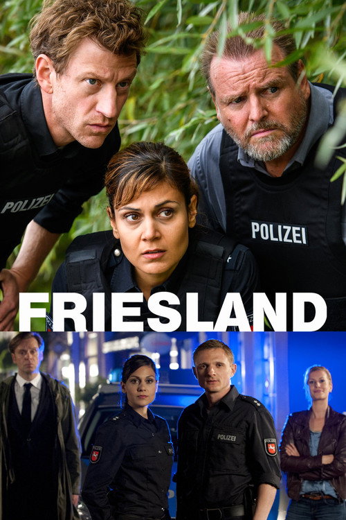 Cartel de Friesland