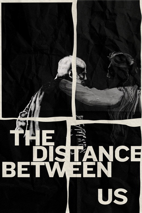 Cartel de The Distance Between Us