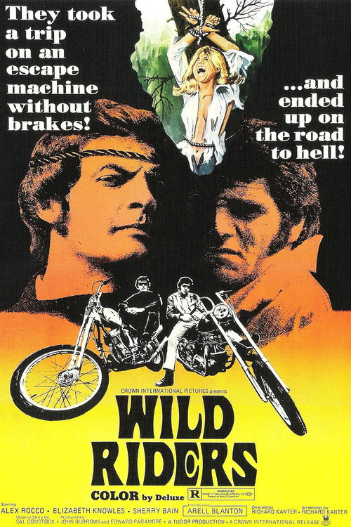 Cartel de Wild Riders