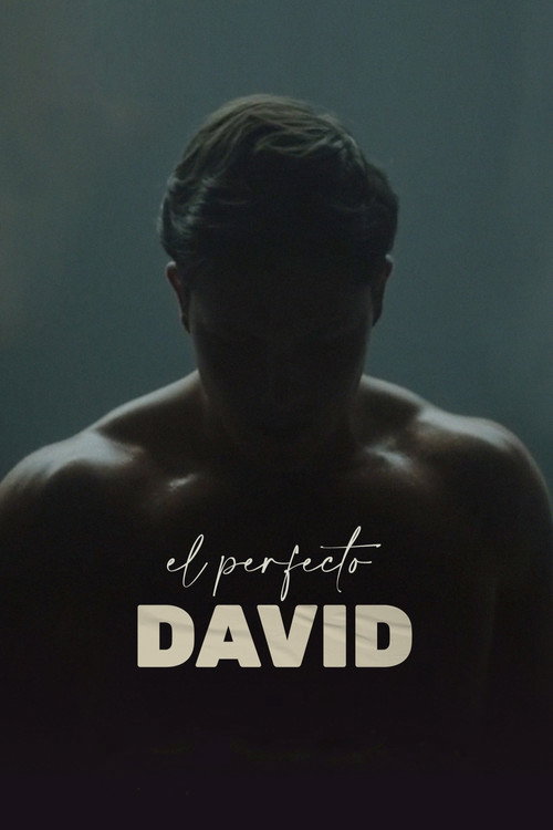 Cartel de El perfecto David