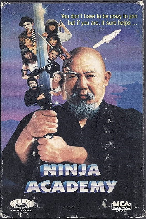 Cartel de Ninja Academy