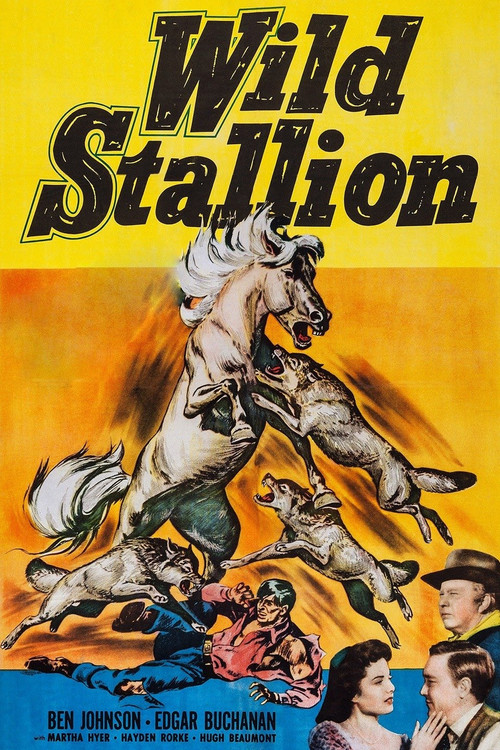 Cartel de Wild Stallion