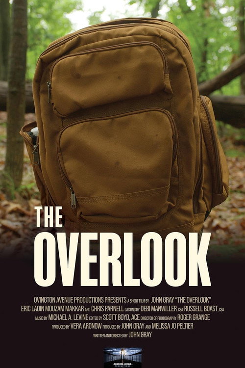 Cartel de The Overlook