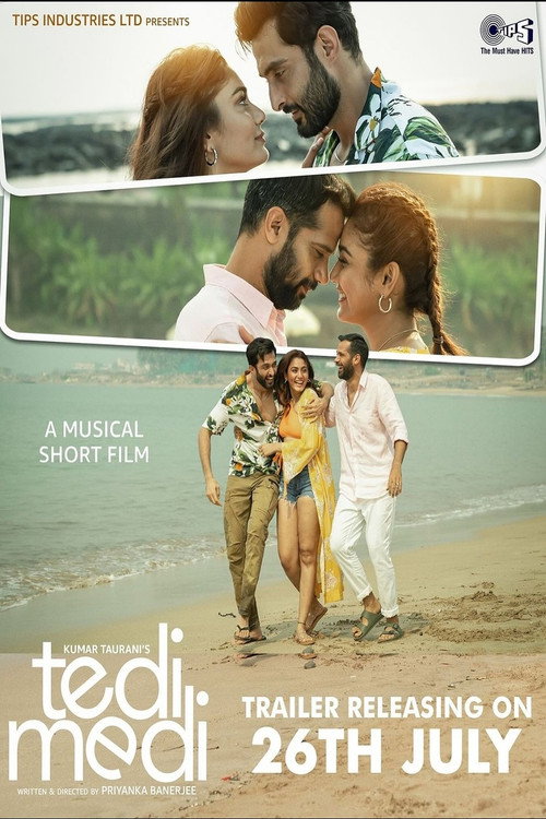 Cartel de Tedi Medi