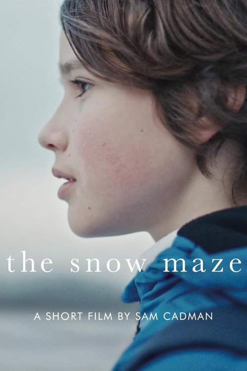 Cartel de The Snow Maze