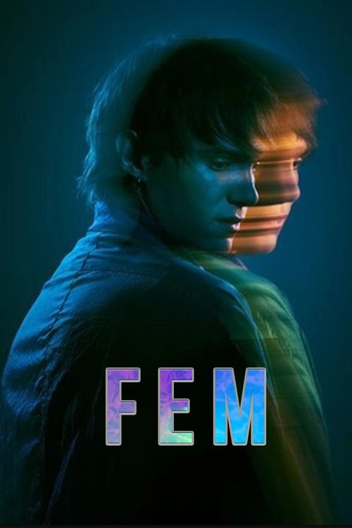 Cartel de FEM