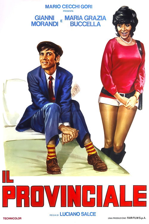 Cartel de Il provinciale