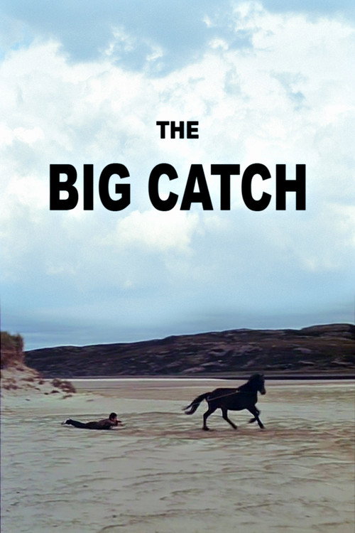 Cartel de The Big Catch