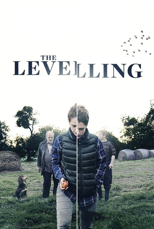 Cartel de The Levelling