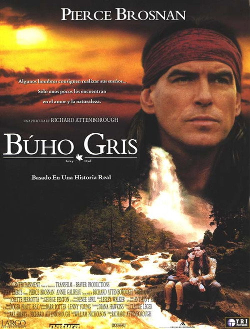 Cartel de Búho Gris