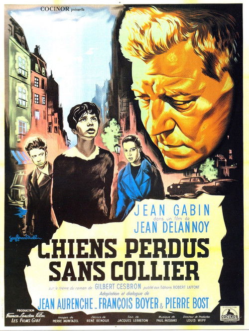 Cartel de Chiens perdus sans collier