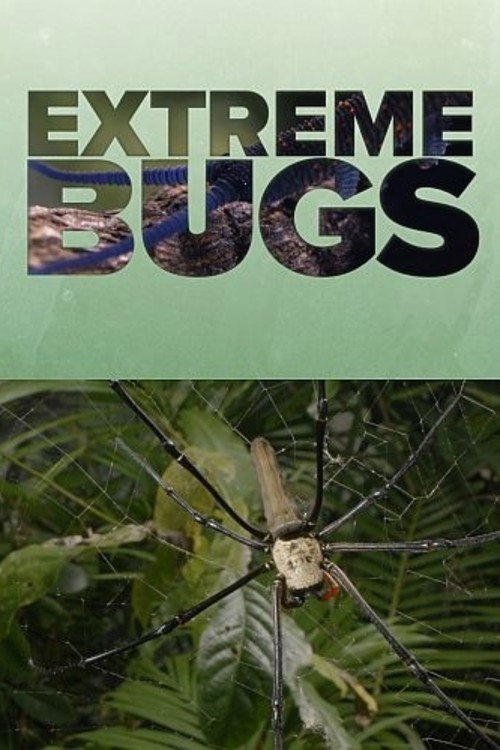 Cartel de Extreme Bugs