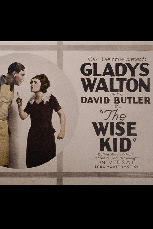 Cartel de The Wise Kid
