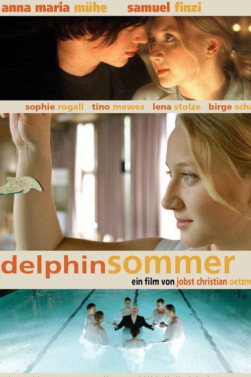 Cartel de Delphinsommer