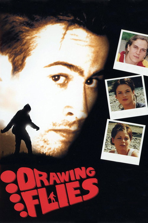 Cartel de Drawing Flies