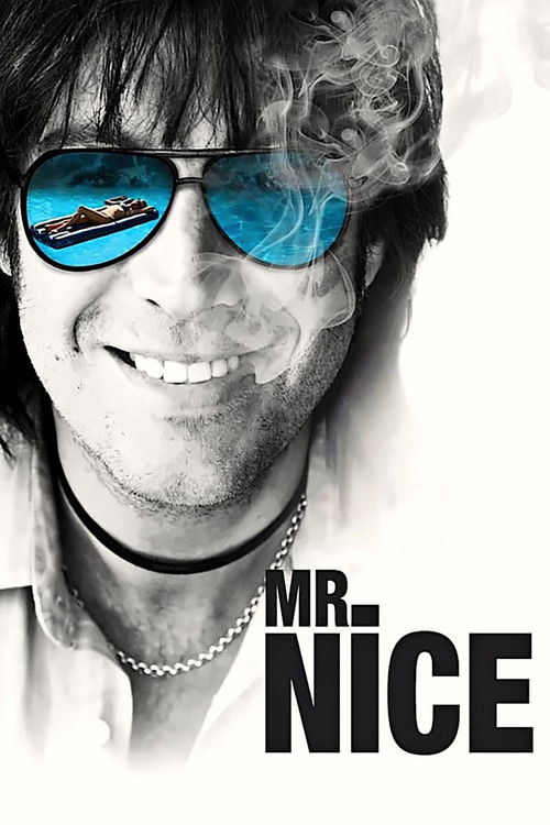 Cartel de Mr. Nice