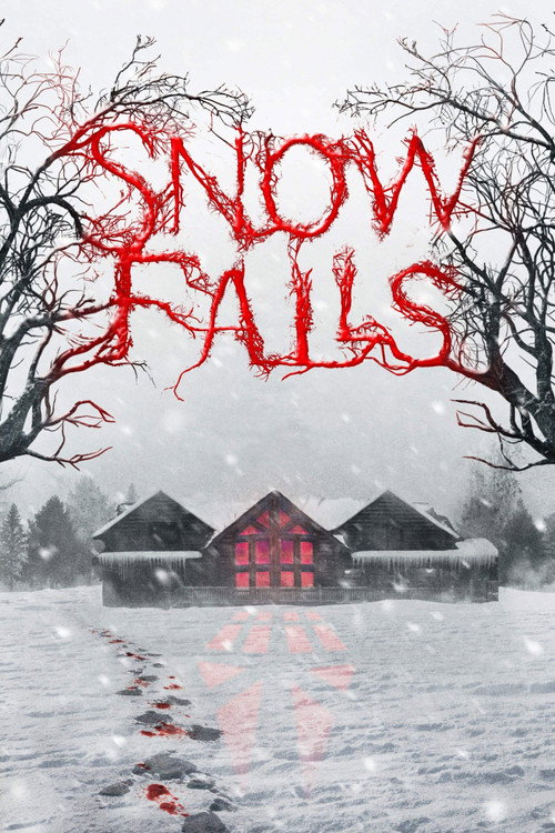 Cartel de Snow Falls