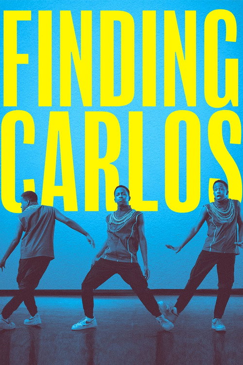 Cartel de Finding Carlos