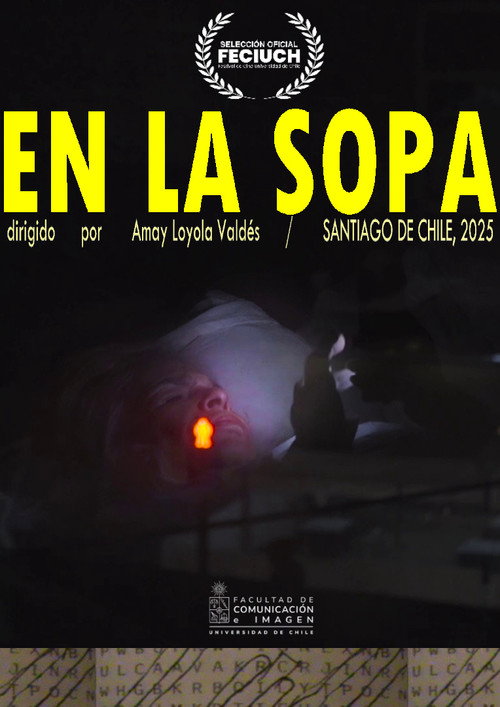 Cartel de En la Sopa