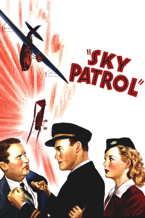 Cartel de Sky Patrol