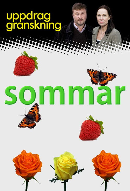 Cartel de Uppdrag granskning sommar