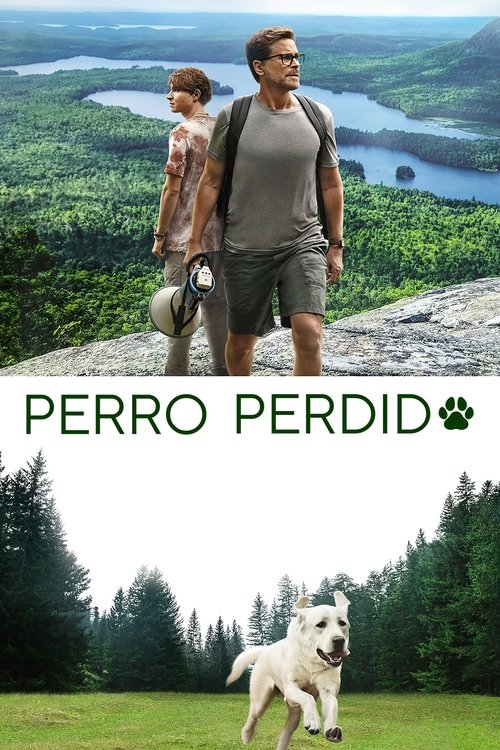 Cartel de Perro perdido