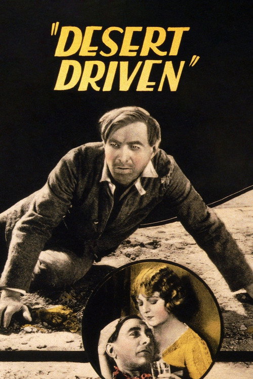 Cartel de Desert Driven